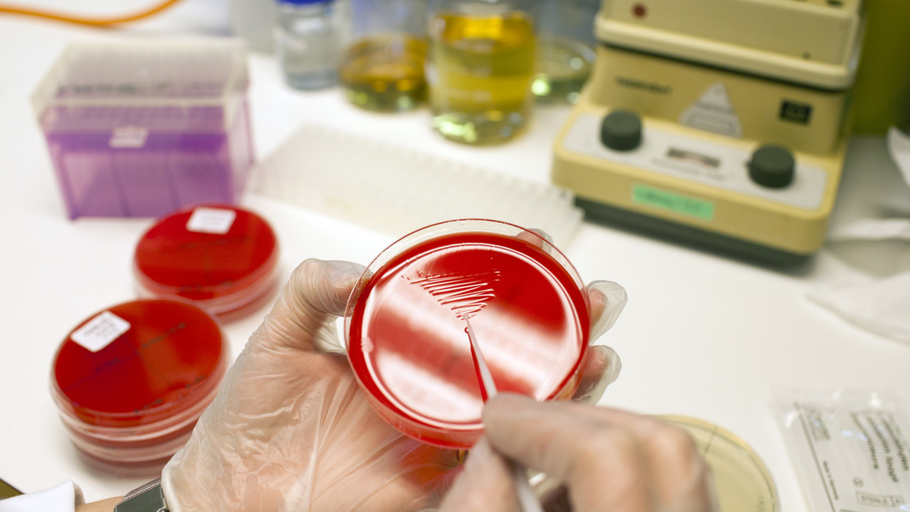 Wallenberg Centre for Molecular Medicine at Umeå University