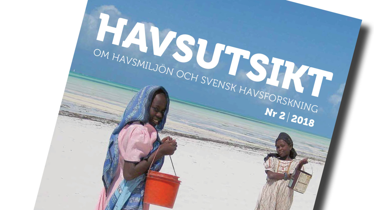 Omslag för Havsutsikt nummer 2 2018