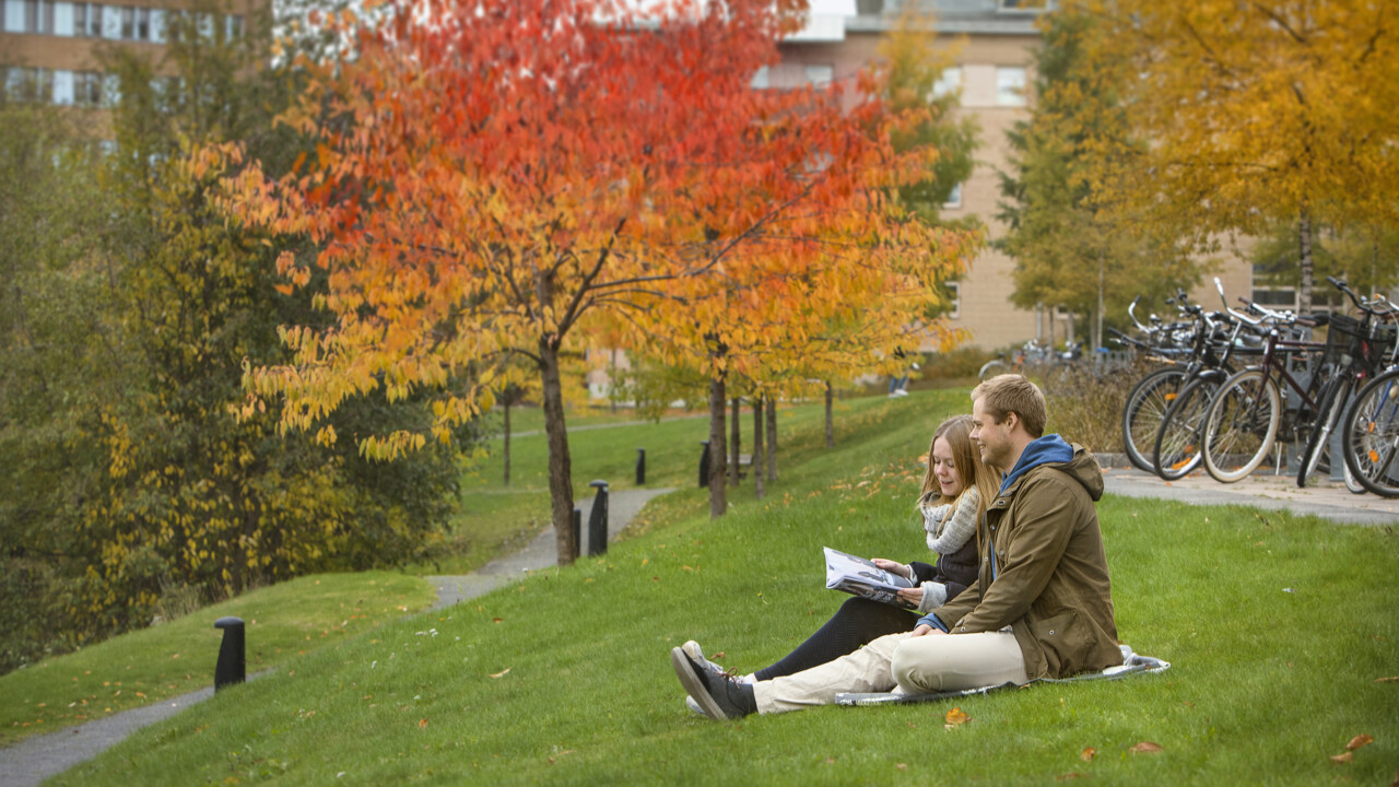 bild av två människor som sitter i gräset utanför universitetet