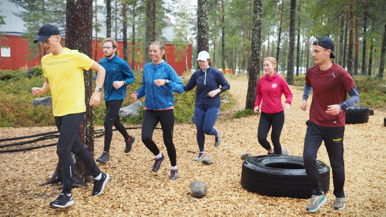 Studenter och anställda vid Umeå universitet