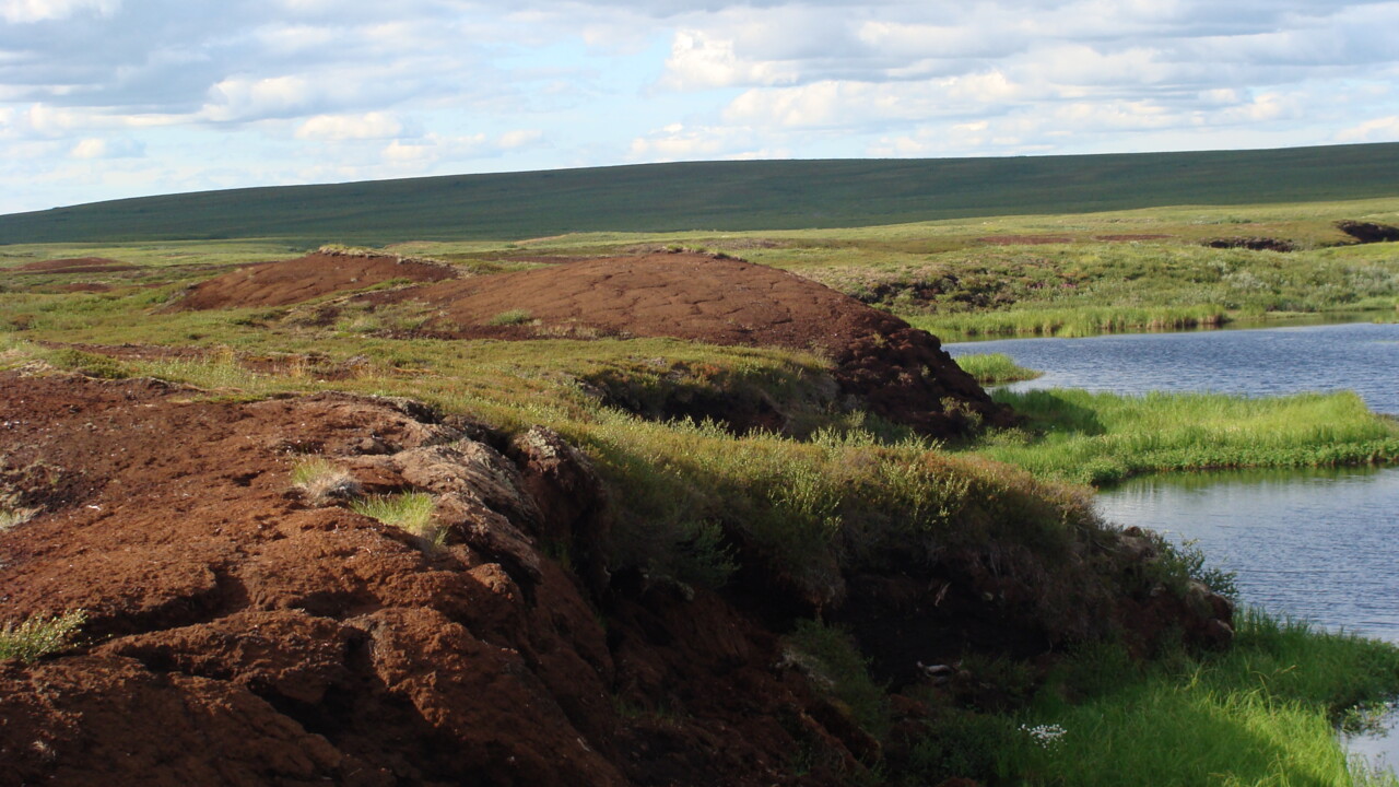 Bild på eroderande kant av torvmark i Ryssland