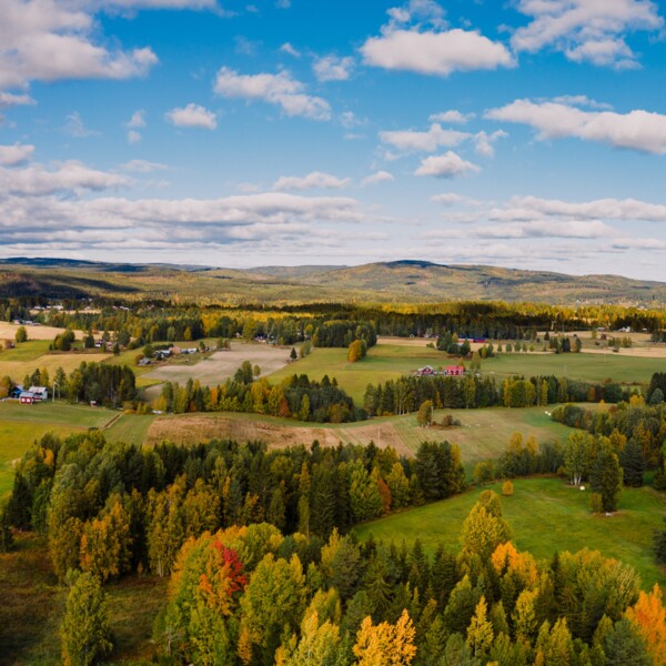 a road winding through a village with agricultural landscapes in autumn. In the background is mountain hills. The sky is blue with fluffy clouds