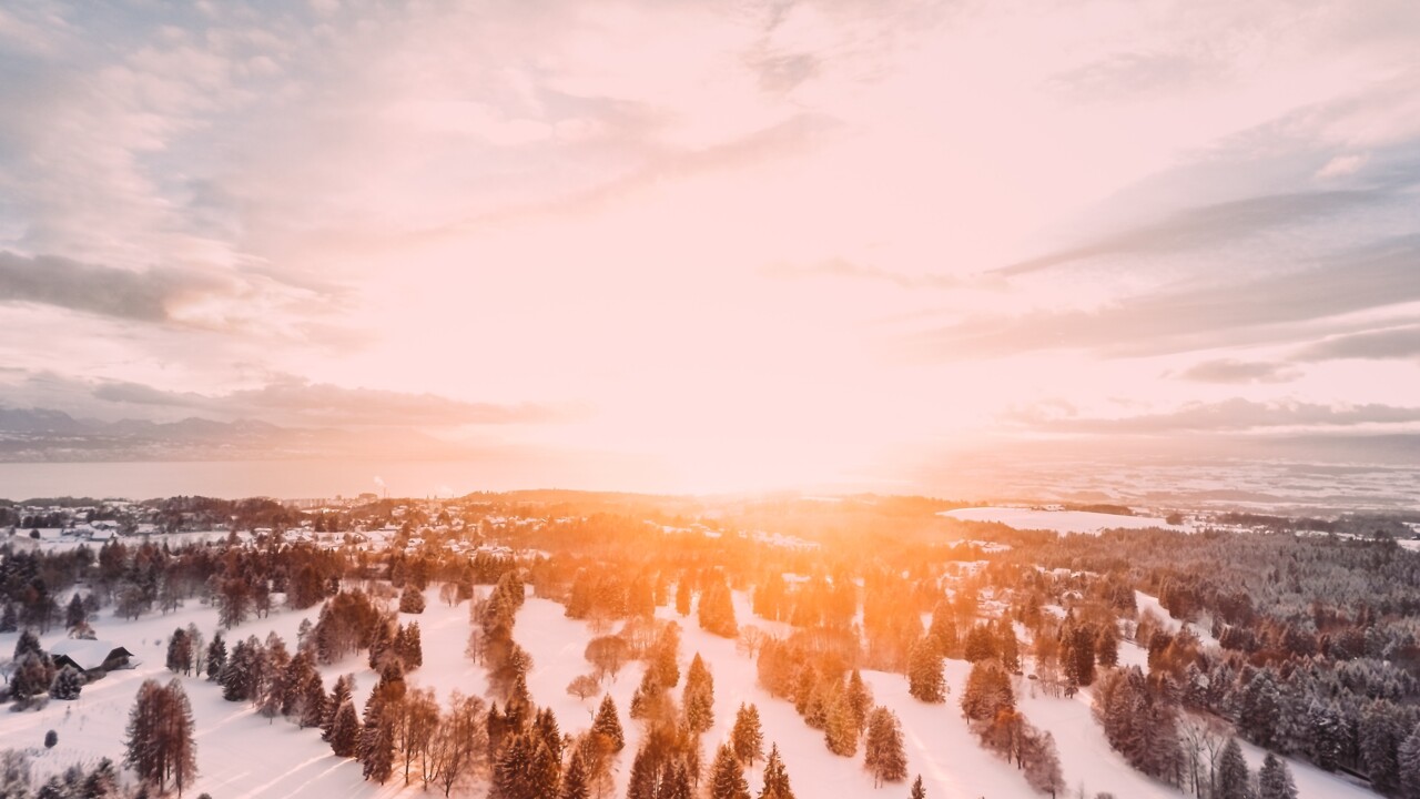 Solnedgång över granskog