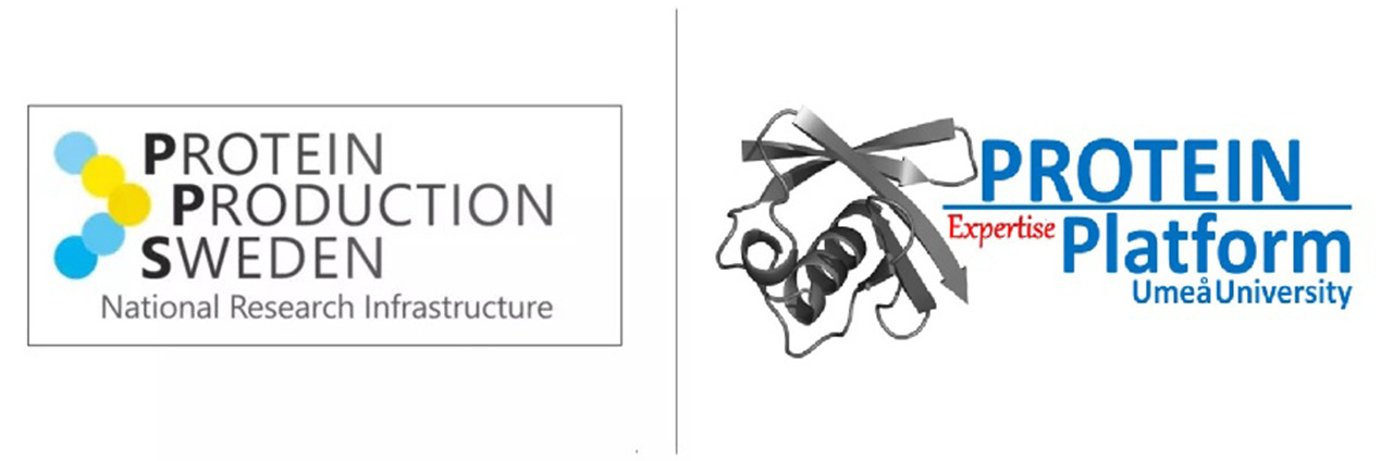 Logotypes of PPS (Protein Production Sweden) and PEP (Protein Expertise Platform)
