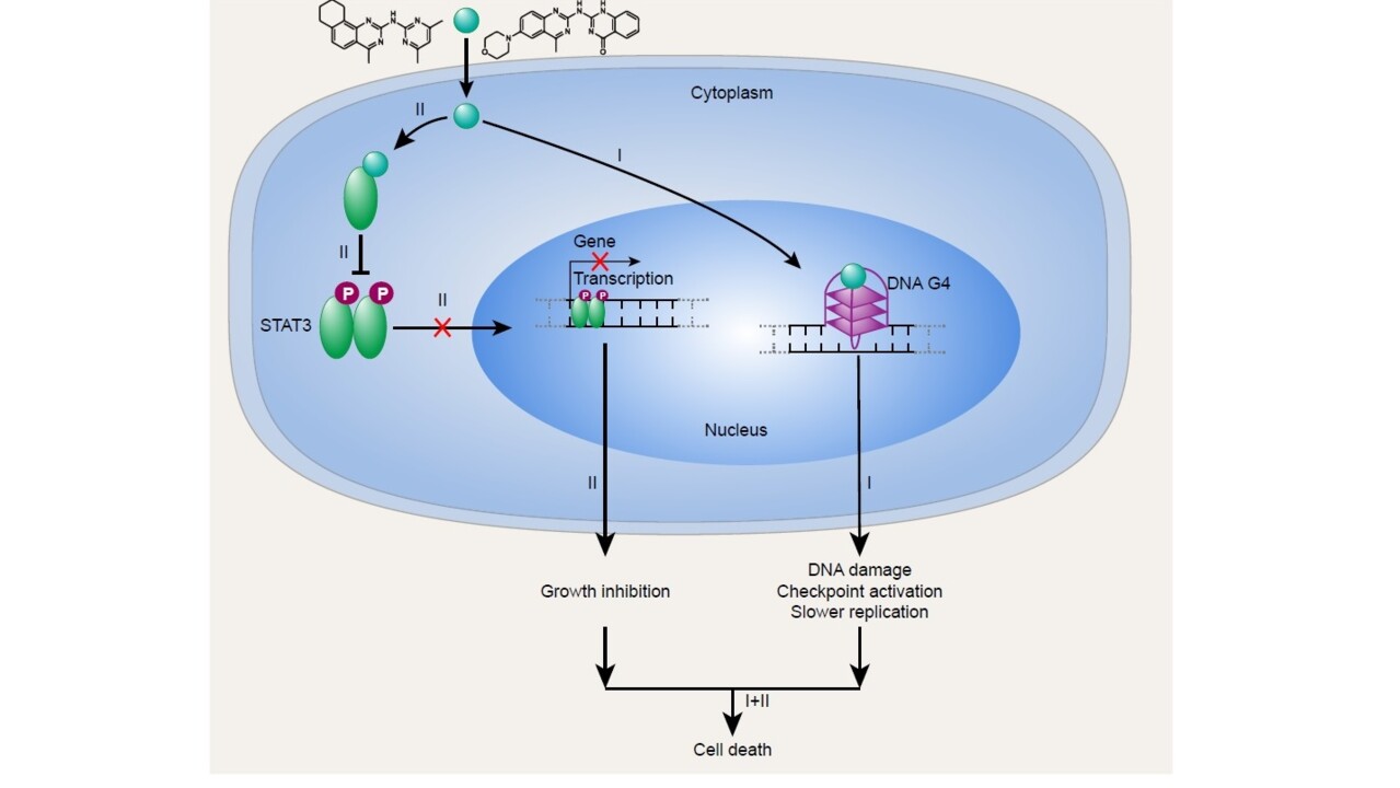 Illstration till prototyp för nytt cancerläkemedel som angriper två mekanismer samtidigt