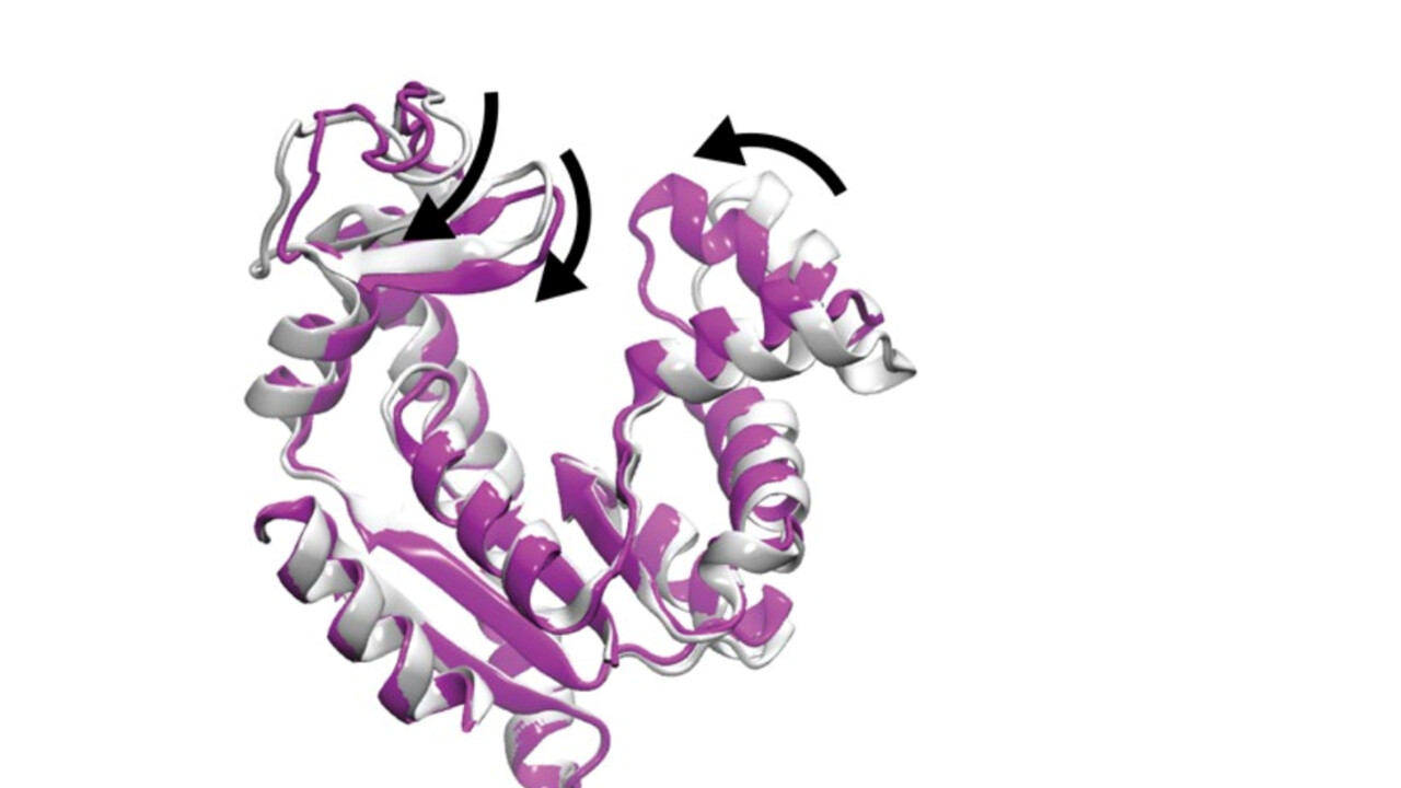 Integrated Structural Biology