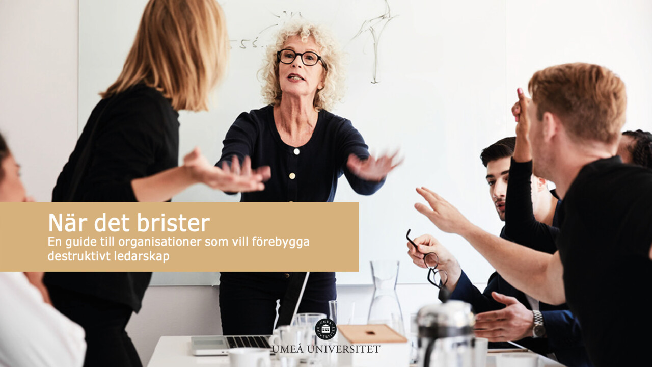 När det brister: En guide till organisationer som vill förebygga destruktivt ledarskap