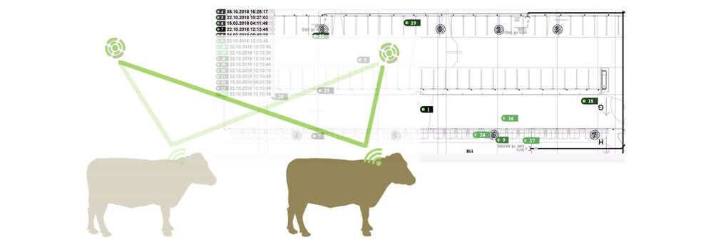 Ett lokaliseringssystem i realtid