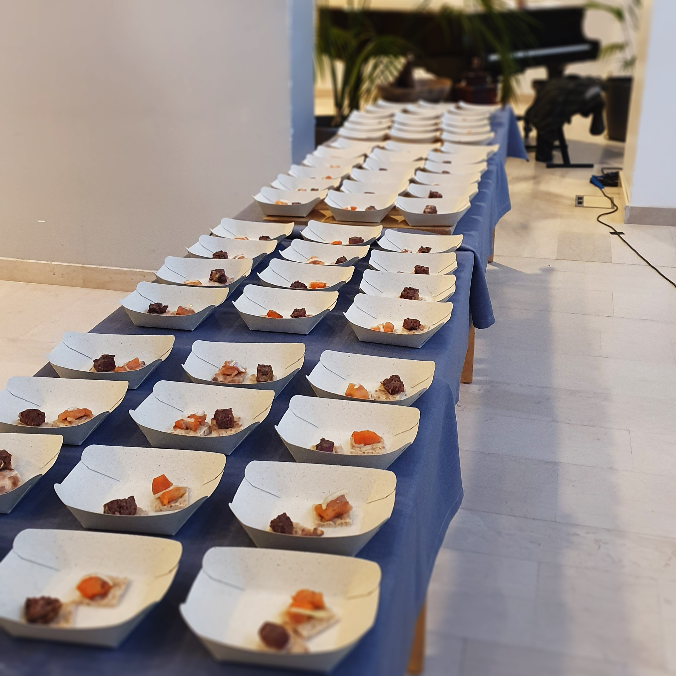 Smakprover av samisk mat serverade i djupa papptallrikar