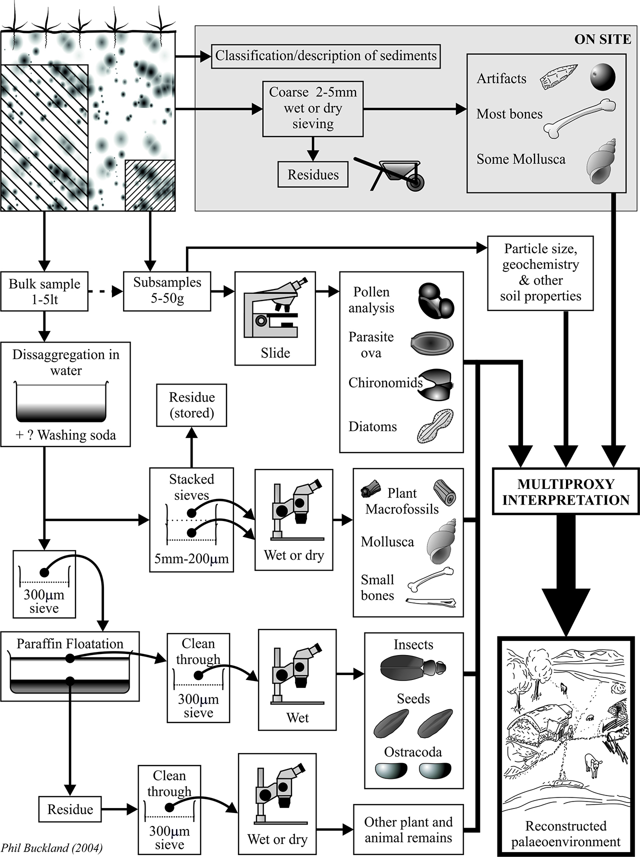 Illustration of the sample processing chain implemented at MAL