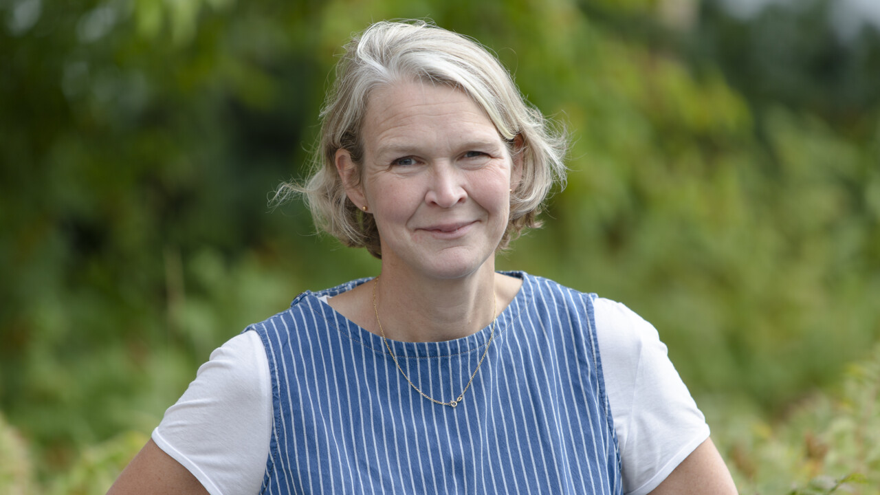 personal Linda Sandblad