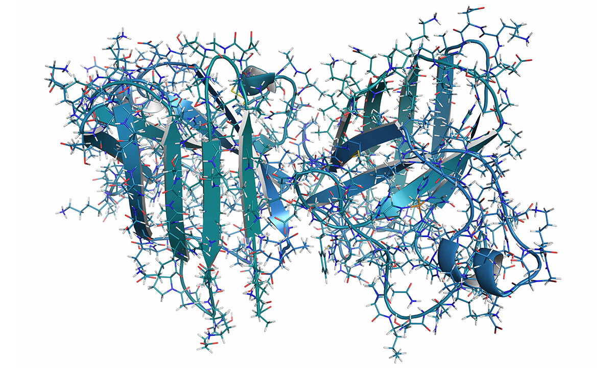 Illustration showing the normal structure of the SOD1 protein