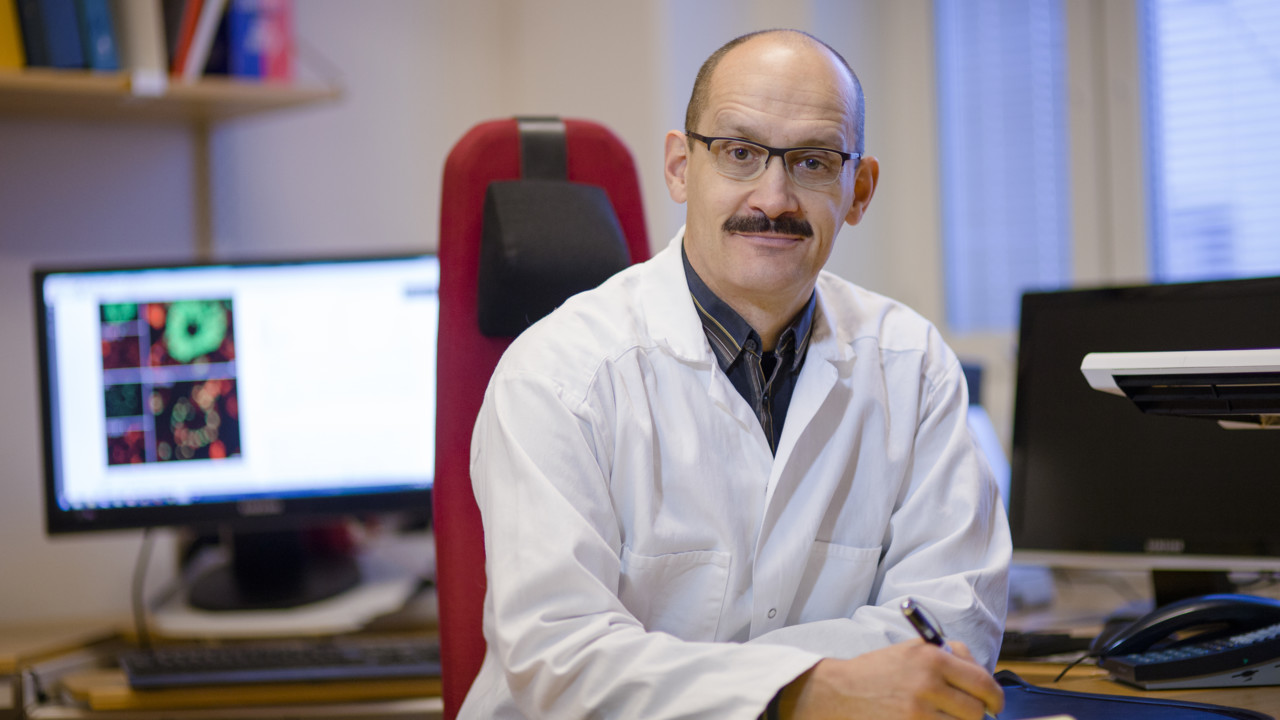 Film: Kan vi förebygga harpest?