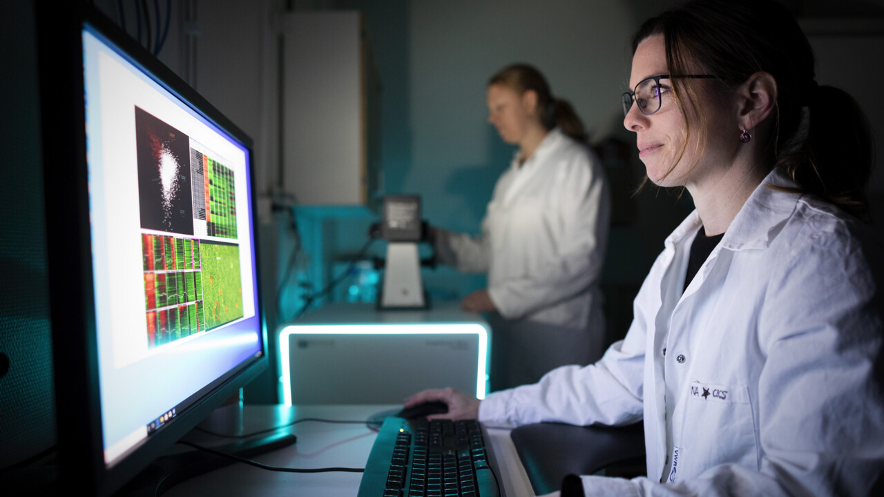 Stina Berglund Fick, Chemical Biology Consortium Sweden, CBCS