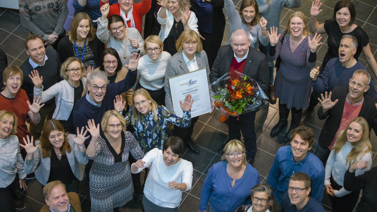 Sveriges friskaste företag