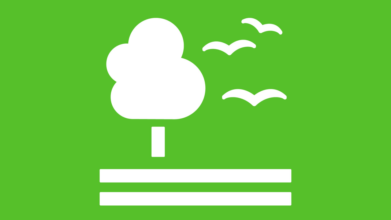 Illustration of a tree with three flying birds symbolising biodiversity.