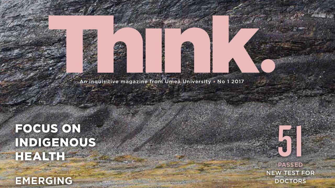 Think 2017 arctic theme