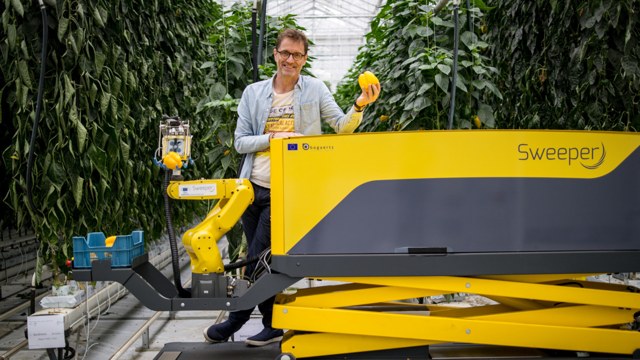 Professor Thomas Hellström tillsammans med paprikaskördaren. 