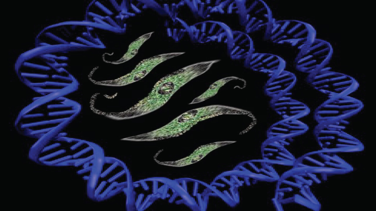 Trypanosome constellation