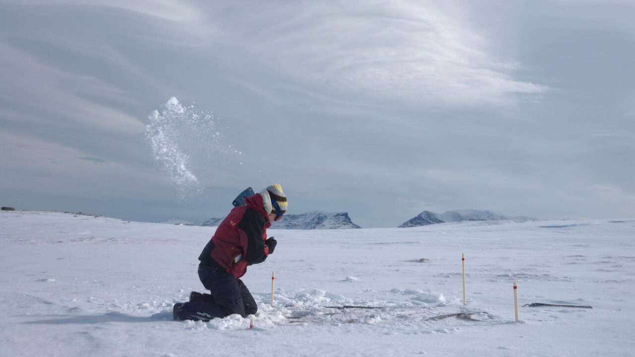Forskare på is