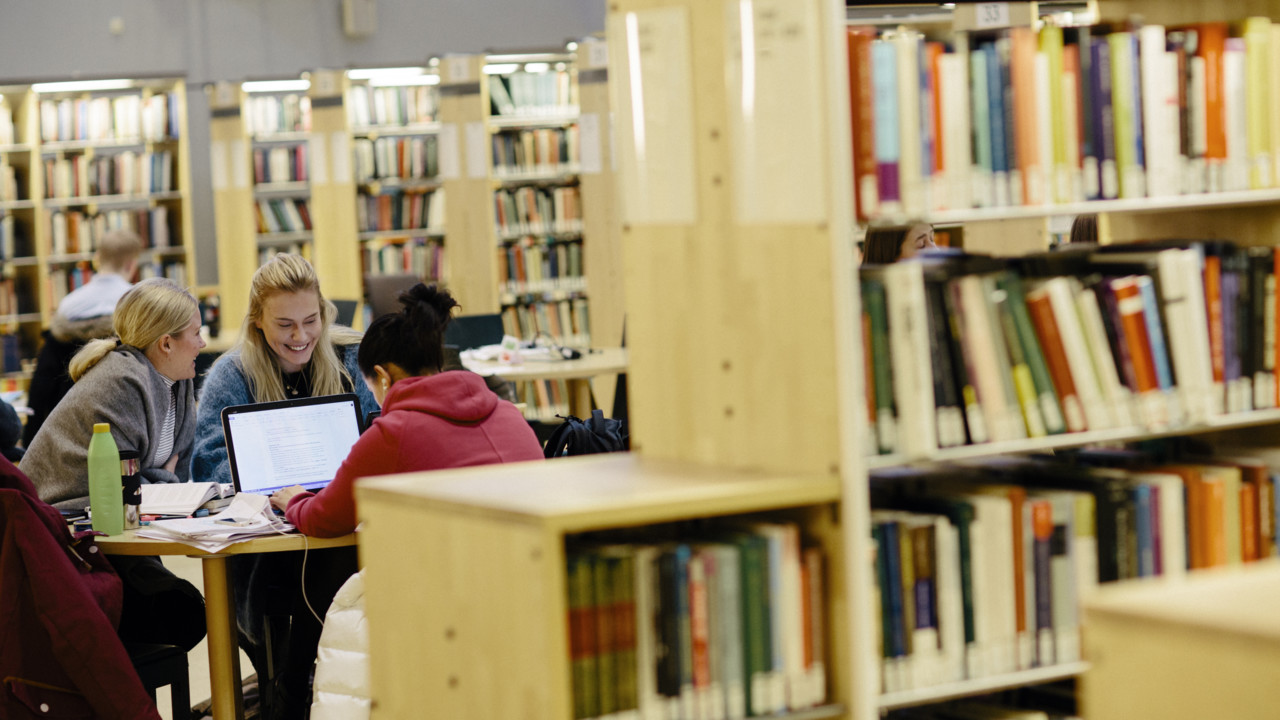 Programutbildningar i ekonomisk historia