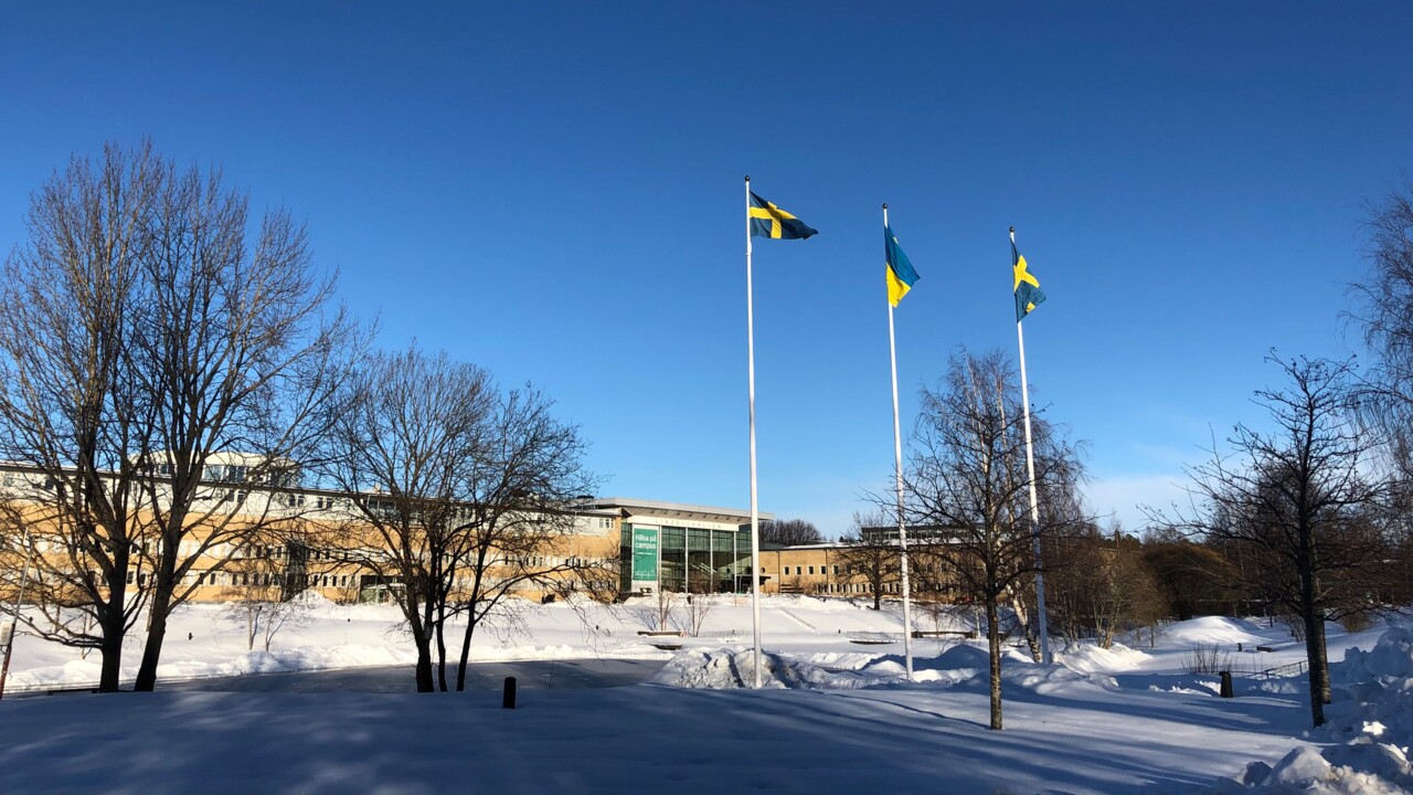 Ukrainsk och svensk flagga hissad på Campus Umeå.