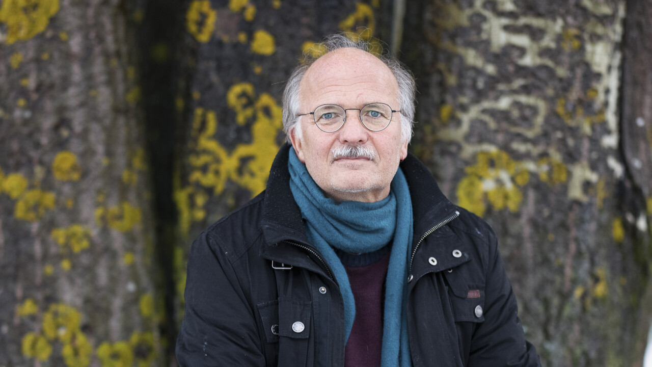 Stefan Jansson bland kålplantorna i växthuset.