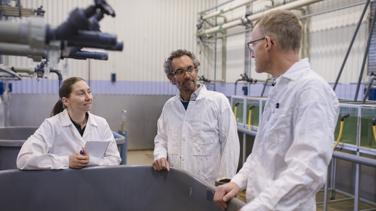 Film: Forskningsanläggning i världsklass