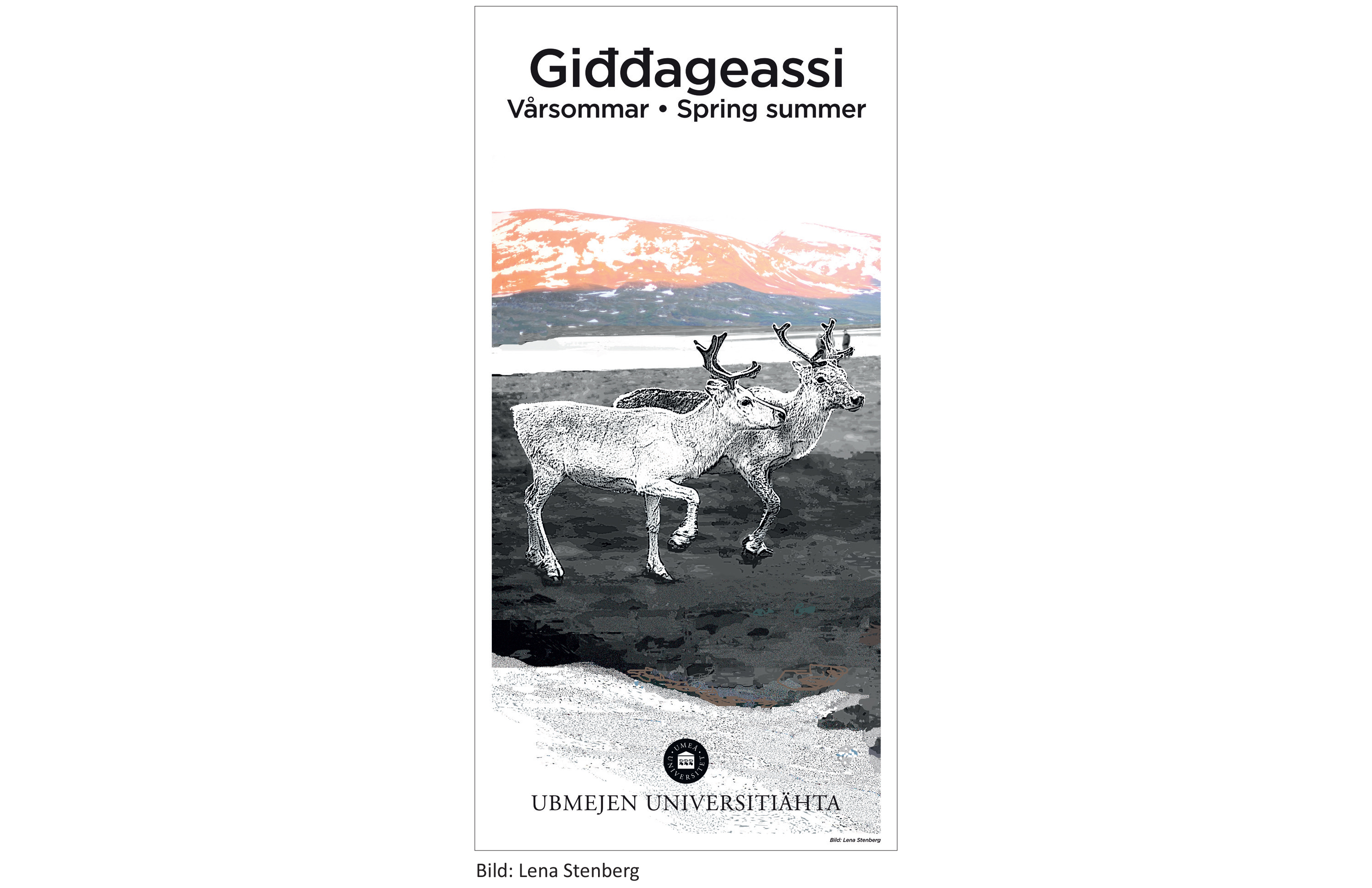 Spring summer, sami season: Artist Lena Stenberg