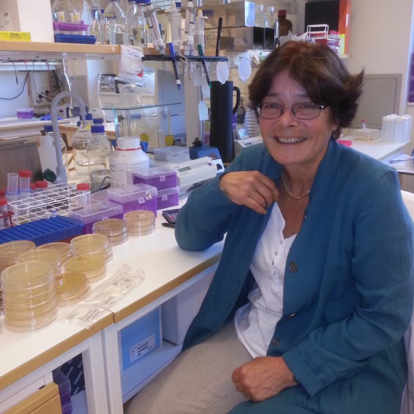 Bild av Victoria Shingler