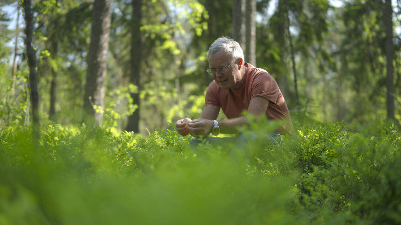 Film: Intervju med David Wardle