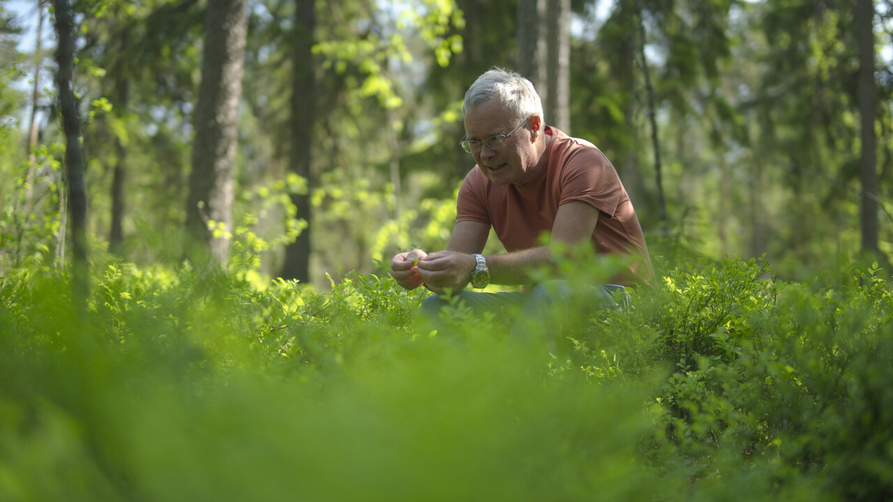 David Wardle sitting in the forest 