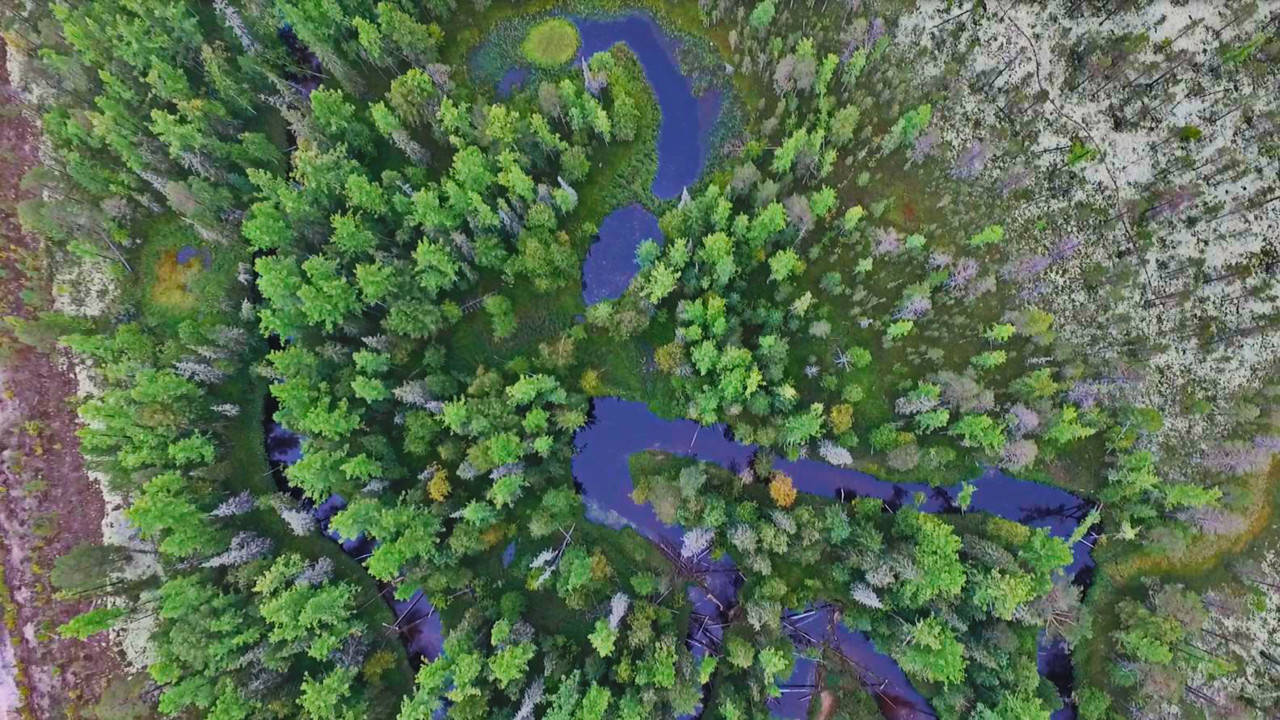 Link to page about Bio4Energy