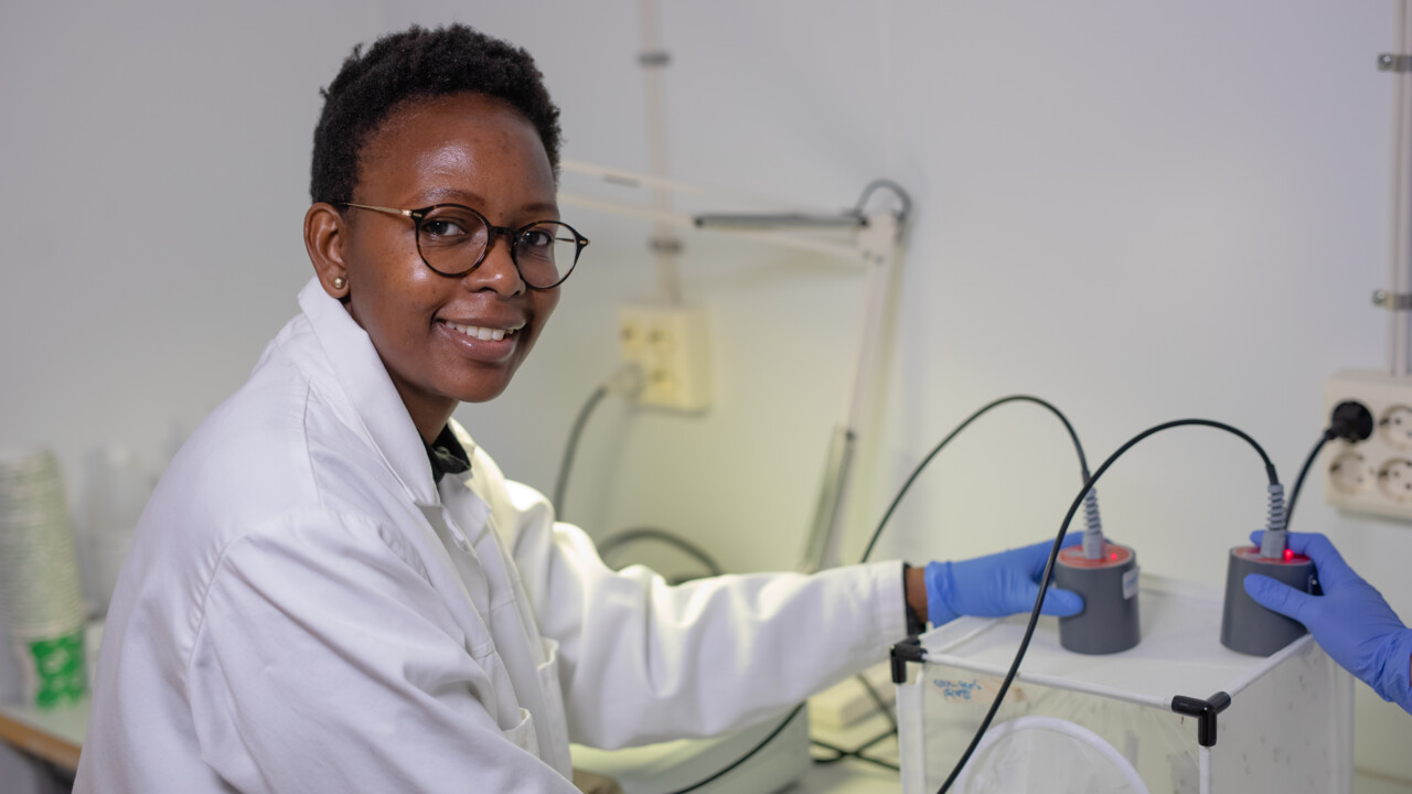 Olivia Wesula Luande