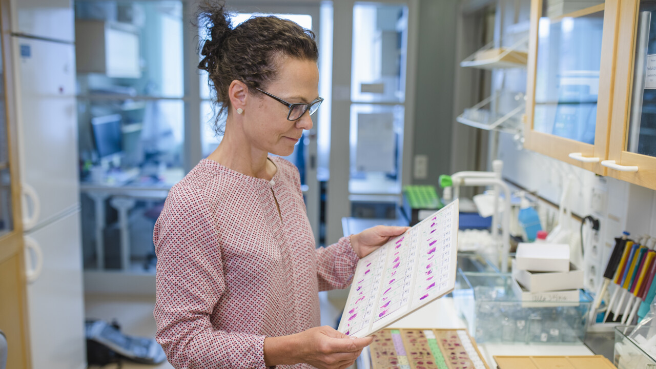 Film: "Vi tror att vi har väldigt viktiga resultat"