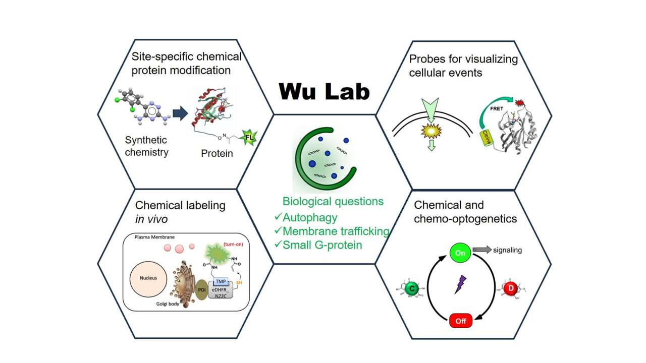 Yaowen Wu Lab concept
