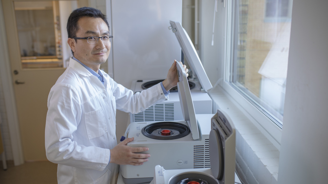 Yaowen Wu, professor i biokemi,