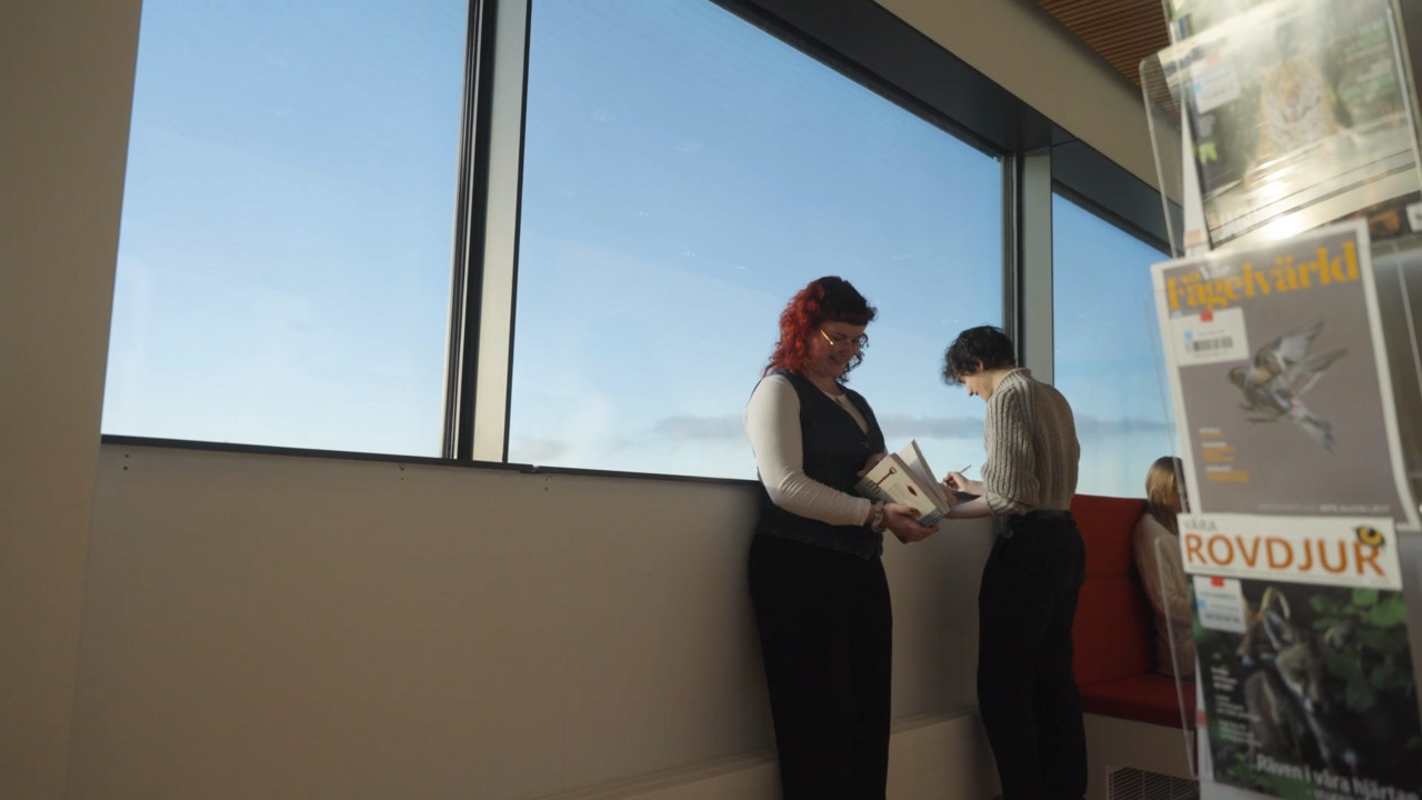 Video: Kolla in filmen!