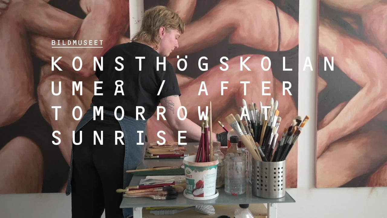 Video: Interview with Josefine Borgström