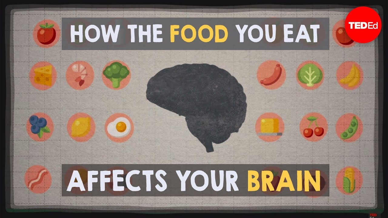 Video: How the food you eat affects your brain