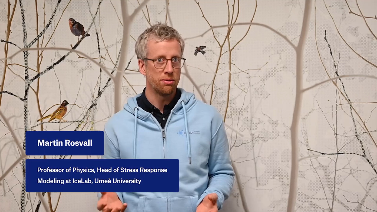 Video: Stress Response Modeling at IceLab in 1 minute
