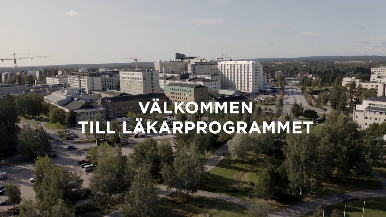 Video: Plugga till läkare