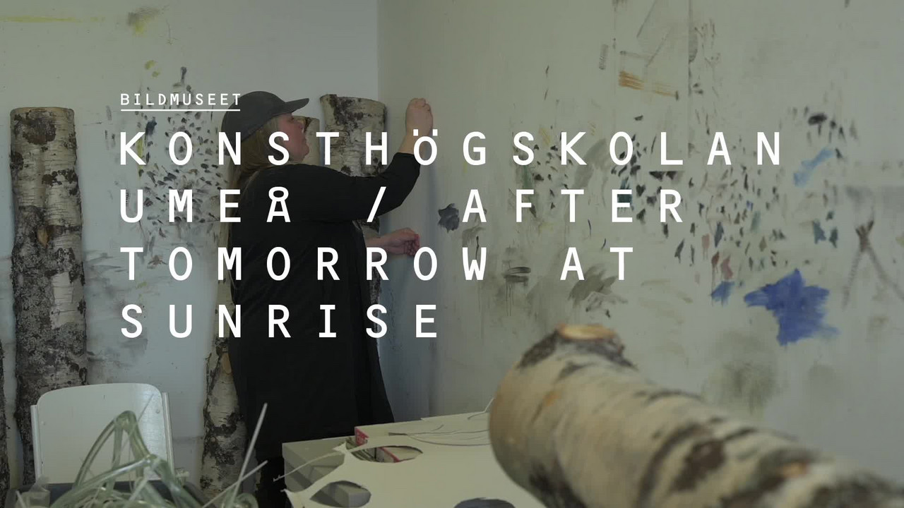 Video: Intervju med Ida Boman 