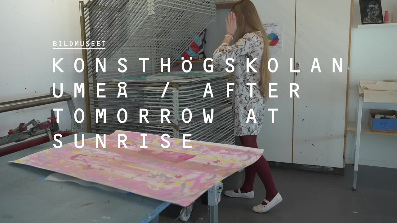 Video: Interview with Ágnes Vokatá