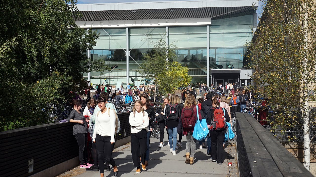 Video: Karriären börjar hos oss!
