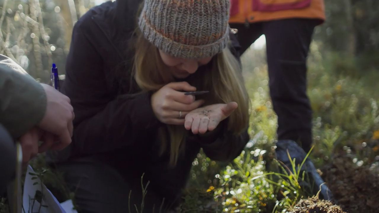 Video: Studera naturen - både i fält och i labbet