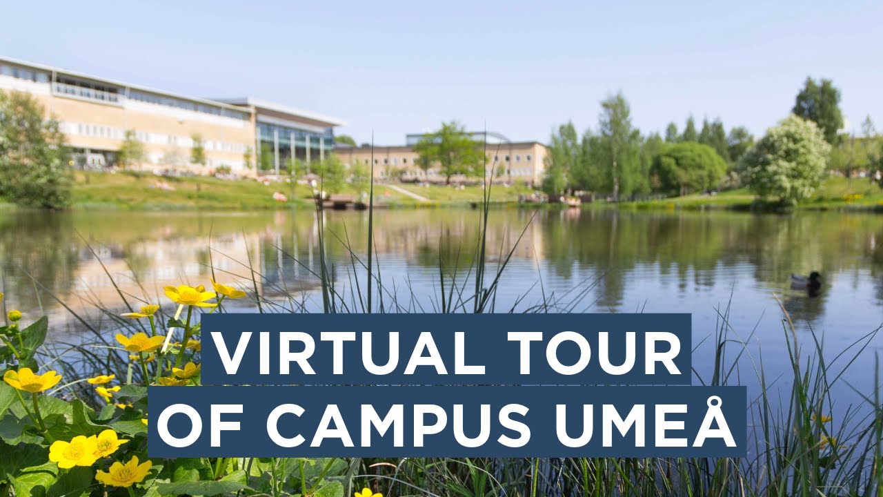 Video: A quick tour around Campus Umeå
