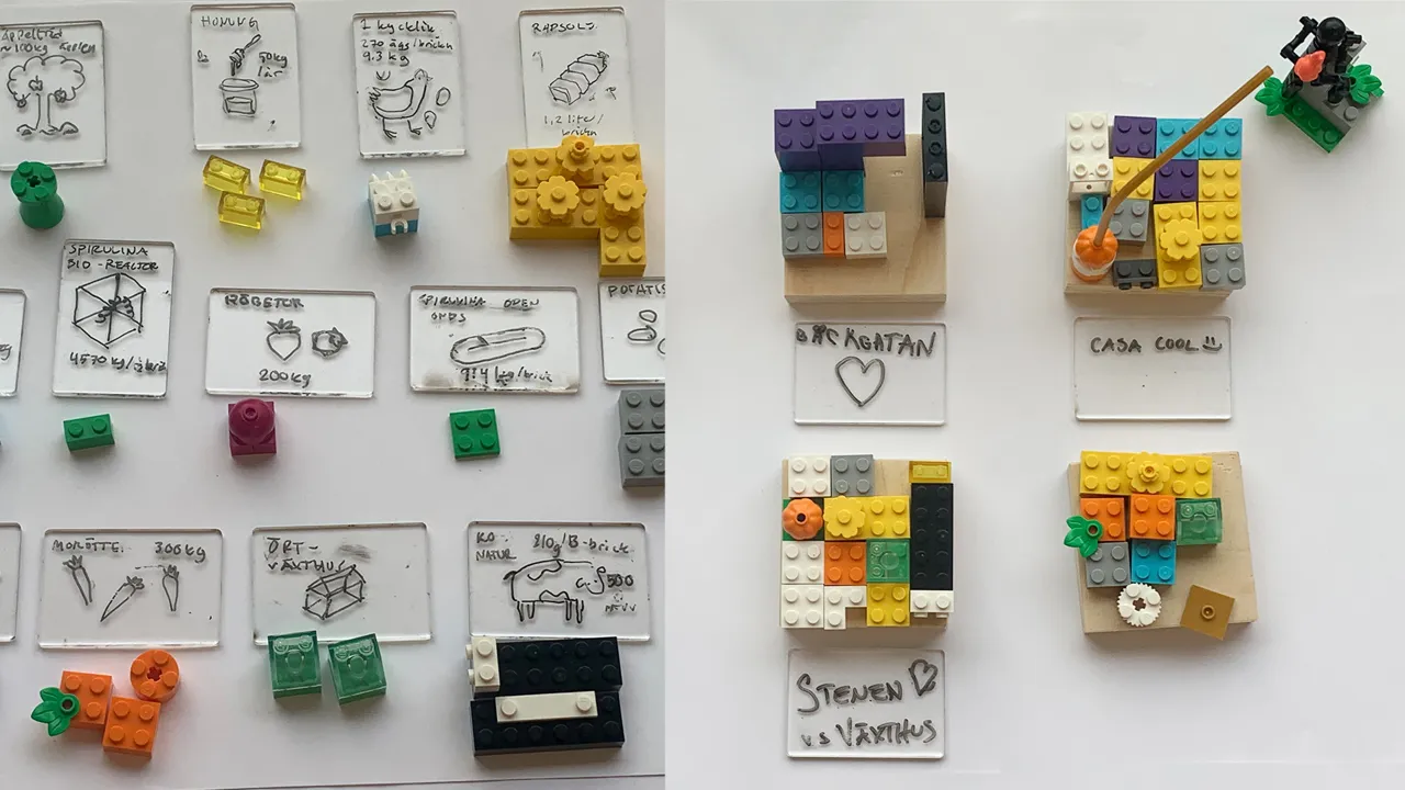 Results from the workshop, a mosaic of crop-area for their future food