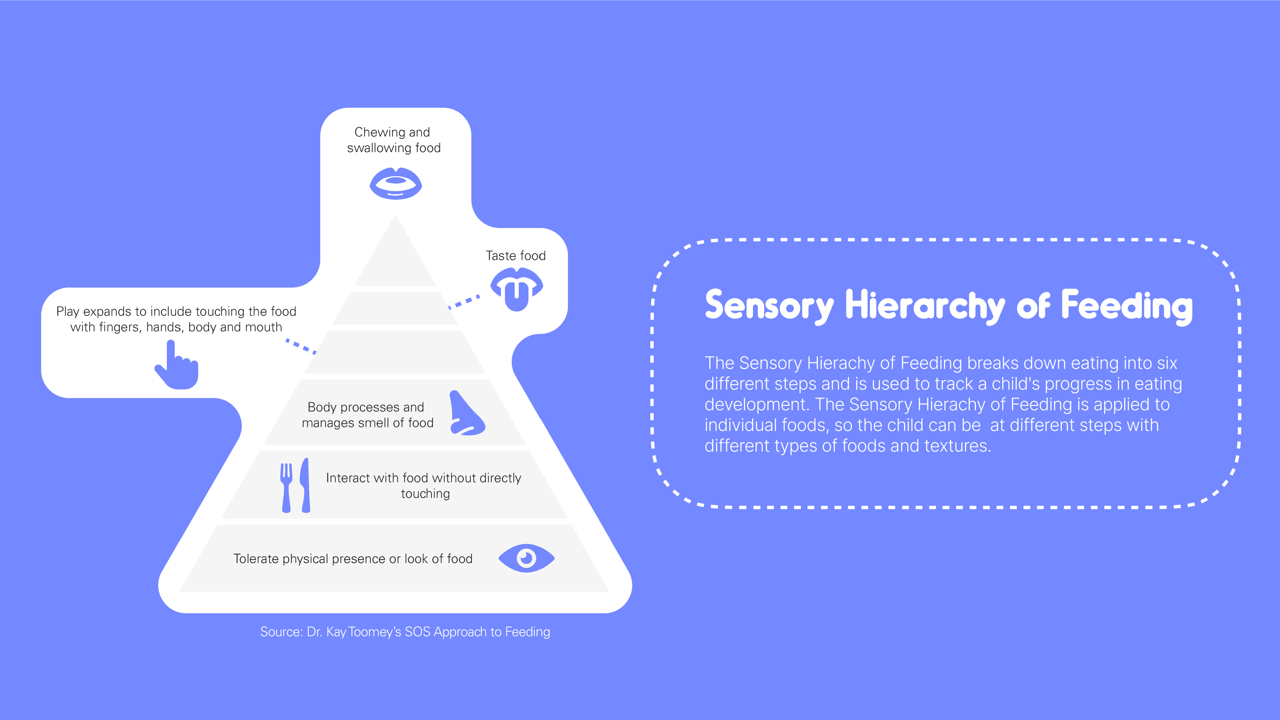 Sensory Hierarchy of Feeding