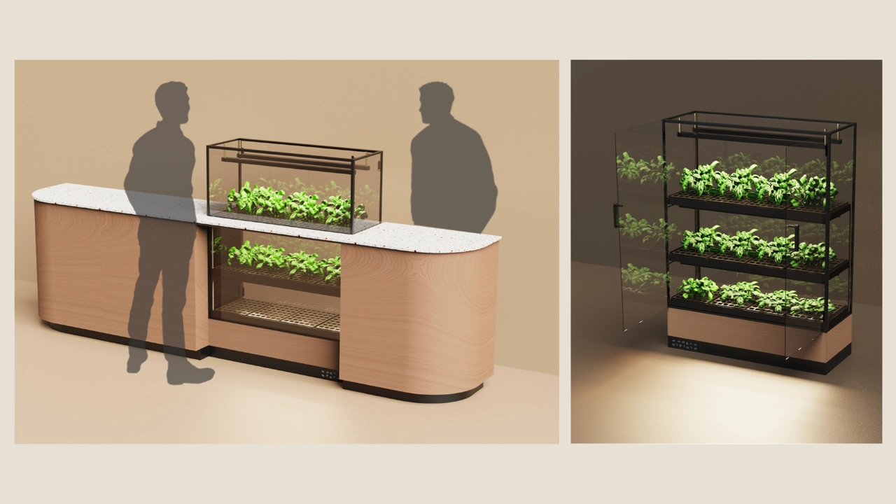 Follow the cycle from seed to plant.
